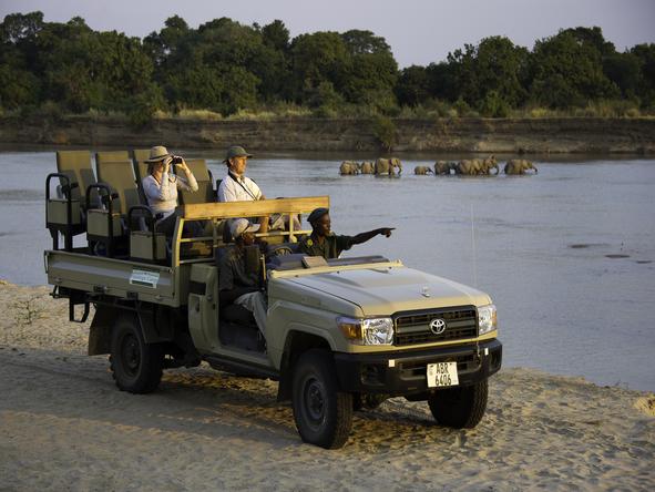 Flatdogs Jackalberry Tree House - game drive with elephant